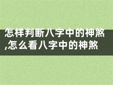 怎样判断八字中的神煞,怎么看八字中的神煞