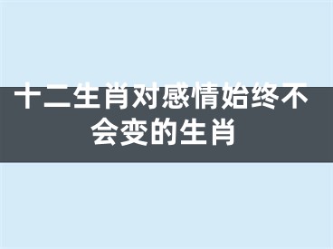 十二生肖对感情始终不会变的生肖