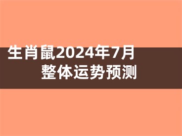 生肖鼠2024年7月整体运势预测