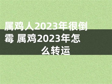 属鸡人2023年很倒霉 属鸡2023年怎么转运