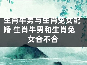 生肖牛男与生肖兔女配婚 生肖牛男和生肖兔女合不合