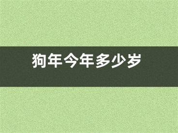 狗年今年多少岁