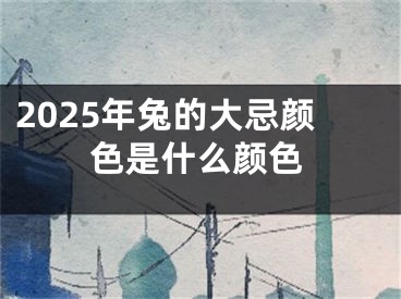 2025年兔的大忌颜色是什么颜色