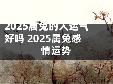 2025属兔的人运气好吗 2025属兔感情运势