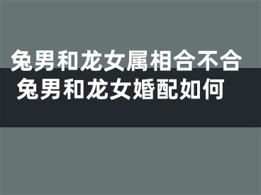 兔男和龙女属相合不合 兔男和龙女婚配如何 