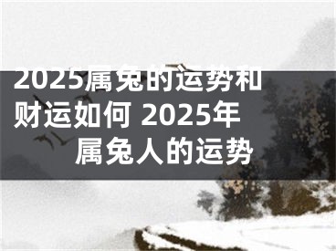 2025属兔的运势和财运如何 2025年属兔人的运势