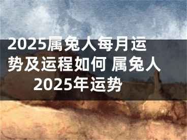 2025属兔人每月运势及运程如何 属兔人2025年运势