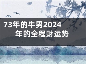 73年的牛男2024年的全程财运势