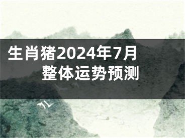 生肖猪2024年7月整体运势预测