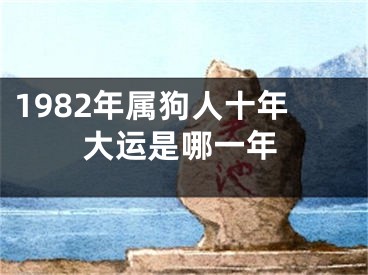 1982年属狗人十年大运是哪一年
