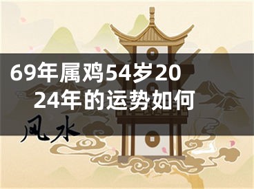 69年属鸡54岁2024年的运势如何