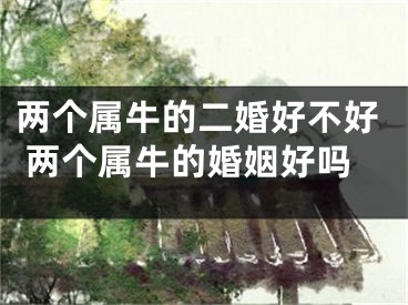 两个属牛的二婚好不好 两个属牛的婚姻好吗