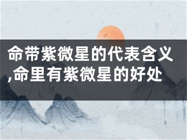 命带紫微星的代表含义,命里有紫微星的好处