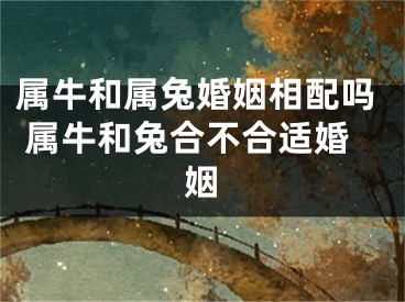 属牛和属兔婚姻相配吗 属牛和兔合不合适婚姻