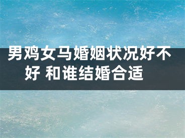 男鸡女马婚姻状况好不好 和谁结婚合适