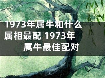 1973年属牛和什么属相最配 1973年属牛最佳配对