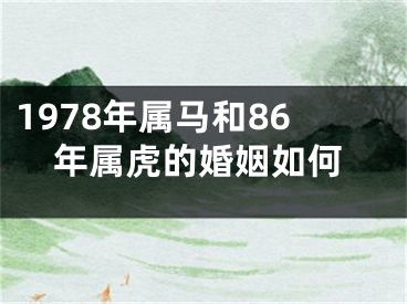 1978年属马和86年属虎的婚姻如何