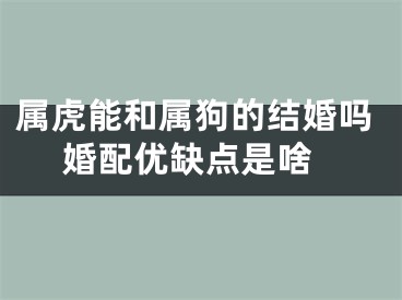 属虎能和属狗的结婚吗 婚配优缺点是啥