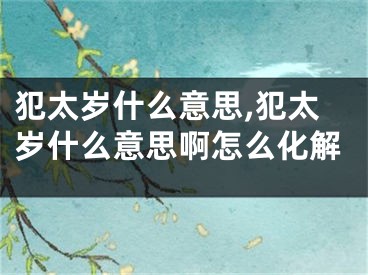 犯太岁什么意思,犯太岁什么意思啊怎么化解