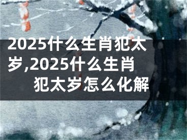 2025什么生肖犯太岁,2025什么生肖犯太岁怎么化解