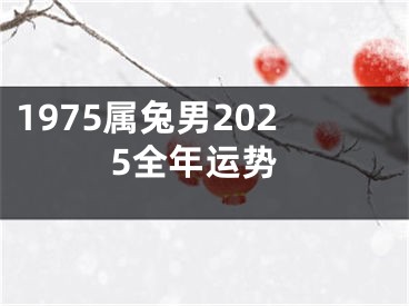 1975属兔男2025全年运势