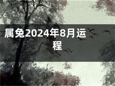 属兔2024年8月运程