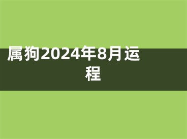 属狗2024年8月运程