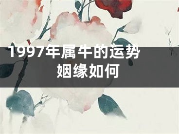 1997年属牛的运势姻缘如何