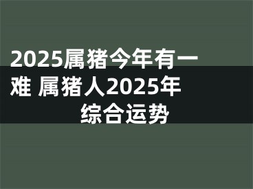 2025属猪今年有一难 属猪人2025年综合运势