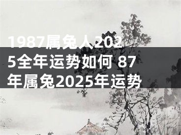 1987属兔人2025全年运势如何 87年属兔2025年运势