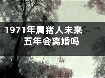 1971年属猪人未来五年会离婚吗