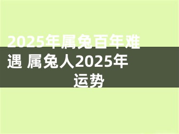2025年属兔百年难遇 属兔人2025年运势
