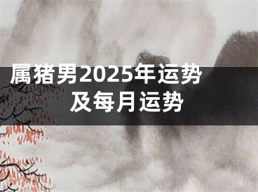 属猪男2025年运势及每月运势