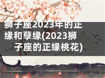 狮子座2023年的正缘和孽缘(2023狮子座的正缘桃花)