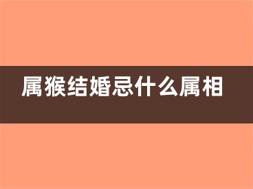 属猴结婚忌什么属相