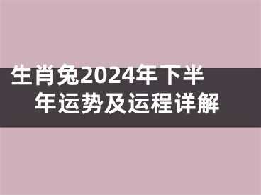 生肖兔2024年下半年运势及运程详解