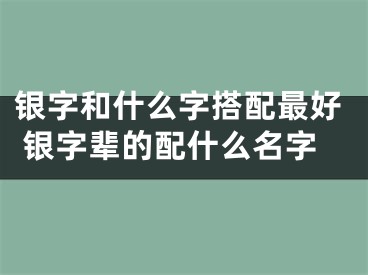 银字和什么字搭配最好 银字辈的配什么名字