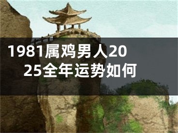 1981属鸡男人2025全年运势如何