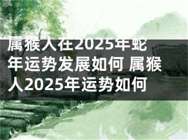 属猴人在2025年蛇年运势发展如何 属猴人2025年运势如何