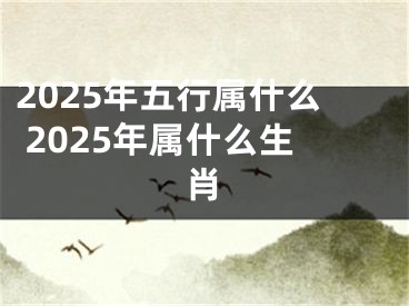 2025年五行属什么 2025年属什么生肖