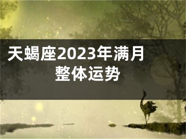 天蝎座2023年满月 整体运势