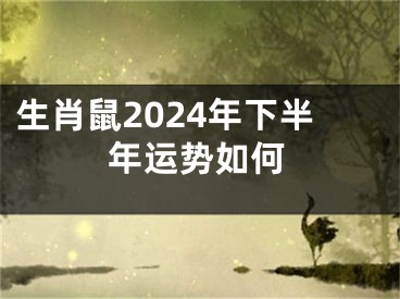 生肖鼠2024年下半年运势如何