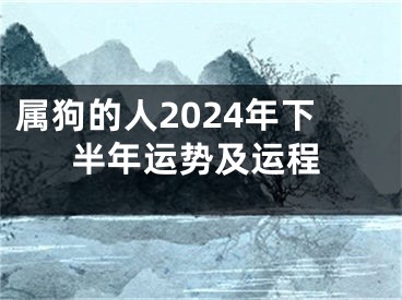 属狗的人2024年下半年运势及运程