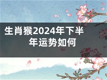 生肖猴2024年下半年运势如何