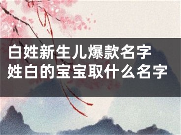 白姓新生儿爆款名字 姓白的宝宝取什么名字