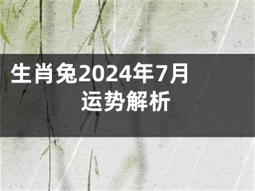 生肖兔2024年7月运势解析