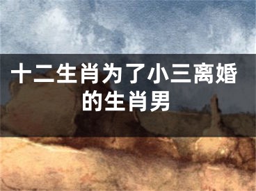十二生肖为了小三离婚的生肖男
