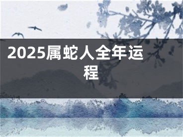 2025属蛇人全年运程