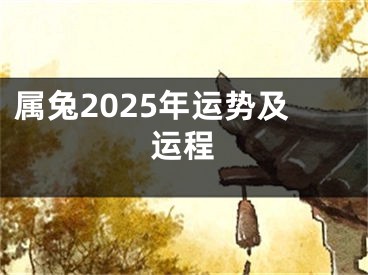 属兔2025年运势及运程