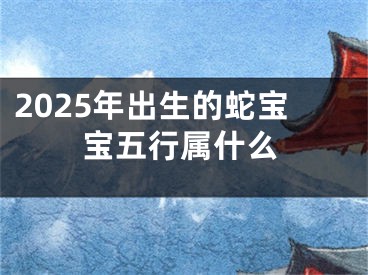 2025年出生的蛇宝宝五行属什么